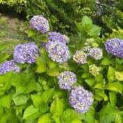 ヒメ日記 2025/06/15 17:09 投稿 りおな 多治見・土岐・春日井ちゃんこ