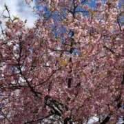 ヒメ日記 2026/03/10 12:39 投稿 りおな 多治見・土岐・春日井ちゃんこ