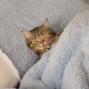 みなみ 出勤💨 舐めフェチの会