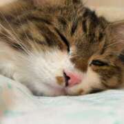 ヒメ日記 2025/12/19 16:07 投稿 みなみ 舐めフェチの会