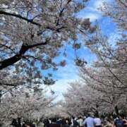 ヒメ日記 2026/04/05 17:44 投稿 みなみ 舐めフェチの会