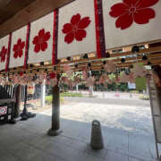 ヒメ日記 2025/08/15 13:47 投稿 とあ ハピネス東京