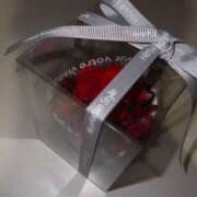 ヒメ日記 2026/01/12 04:07 投稿 とあ ハピネス東京