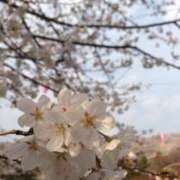 ヒメ日記 2025/04/14 19:17 投稿 平山 あなたに逢いたくて