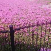 ヒメ日記 2025/04/22 13:27 投稿 平山 あなたに逢いたくて