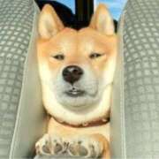 ヒメ日記 2025/05/02 13:07 投稿 平山 あなたに逢いたくて