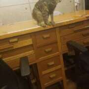 ヒメ日記 2025/05/09 11:17 投稿 平山 あなたに逢いたくて