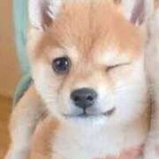 ヒメ日記 2025/05/11 14:37 投稿 平山 あなたに逢いたくて