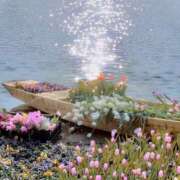 ヒメ日記 2025/05/13 11:18 投稿 平山 あなたに逢いたくて