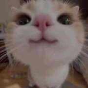 ヒメ日記 2025/05/29 19:07 投稿 平山 あなたに逢いたくて