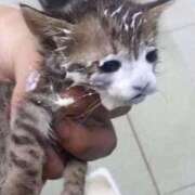 ヒメ日記 2025/06/07 11:07 投稿 平山 あなたに逢いたくて