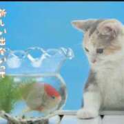 ヒメ日記 2025/06/07 17:27 投稿 平山 あなたに逢いたくて