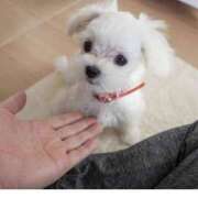 ヒメ日記 2025/06/09 17:27 投稿 平山 あなたに逢いたくて