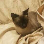 ヒメ日記 2025/06/14 15:37 投稿 平山 あなたに逢いたくて