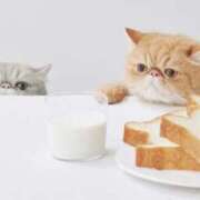 ヒメ日記 2025/06/27 11:37 投稿 平山 あなたに逢いたくて