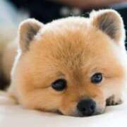 ヒメ日記 2025/07/04 13:17 投稿 平山 あなたに逢いたくて