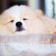 ヒメ日記 2025/07/26 11:07 投稿 平山 あなたに逢いたくて