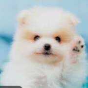 ヒメ日記 2025/08/07 16:27 投稿 平山 あなたに逢いたくて