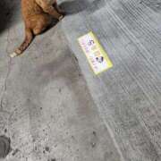 ヒメ日記 2025/08/23 20:17 投稿 平山 あなたに逢いたくて