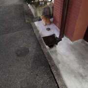 ヒメ日記 2025/08/25 15:07 投稿 平山 あなたに逢いたくて