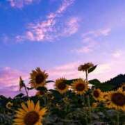 ヒメ日記 2025/09/01 11:07 投稿 平山 あなたに逢いたくて