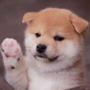 ヒメ日記 2025/09/24 18:27 投稿 平山 あなたに逢いたくて