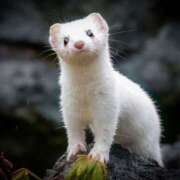 ヒメ日記 2025/09/29 11:17 投稿 平山 あなたに逢いたくて