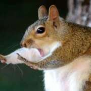 ヒメ日記 2025/09/29 14:27 投稿 平山 あなたに逢いたくて