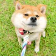 ヒメ日記 2025/10/01 21:17 投稿 平山 あなたに逢いたくて