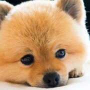 ヒメ日記 2025/10/06 12:37 投稿 平山 あなたに逢いたくて