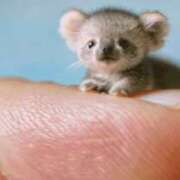 ヒメ日記 2025/10/06 21:27 投稿 平山 あなたに逢いたくて