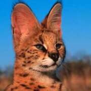 ヒメ日記 2025/10/08 20:07 投稿 平山 あなたに逢いたくて