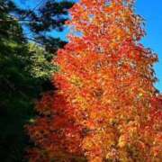 ヒメ日記 2025/10/19 10:57 投稿 平山 あなたに逢いたくて