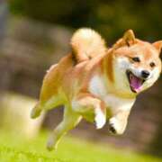 ヒメ日記 2025/10/23 16:07 投稿 平山 あなたに逢いたくて