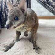 ヒメ日記 2025/10/28 17:17 投稿 平山 あなたに逢いたくて