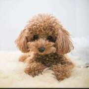 ヒメ日記 2025/11/04 18:57 投稿 平山 あなたに逢いたくて