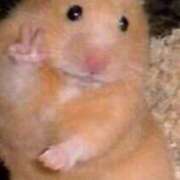 ヒメ日記 2025/11/10 17:57 投稿 平山 あなたに逢いたくて