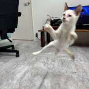 ヒメ日記 2025/11/11 13:07 投稿 平山 あなたに逢いたくて