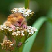 ヒメ日記 2025/11/13 15:27 投稿 平山 あなたに逢いたくて