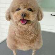 平山 ⊂(  ᴖ ̫ᴖ)⊃ あなたに逢いたくて