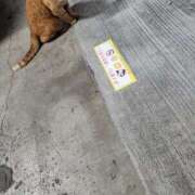 平山 (*´▽`人)ｱﾘｶﾞﾄｳ♡ あなたに逢いたくて