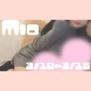 ヒメ日記 2025/03/10 14:17 投稿 みお 沼津ハンパじゃない東京