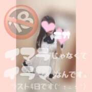 ヒメ日記 2025/03/13 19:37 投稿 みお 沼津ハンパじゃない東京