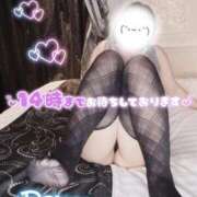 ヒメ日記 2025/04/25 09:04 投稿 冴羽れむ 日暮里ド淫乱倶楽部