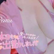 ヒメ日記 2025/08/09 11:46 投稿 冴羽れむ 日暮里ド淫乱倶楽部