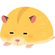 ヒメ日記 2025/03/09 13:43 投稿 なの　奥様 SUTEKIな奥様は好きですか?