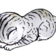 なの　奥様 おやすみします🙇‍♂️ SUTEKIな奥様は好きですか?