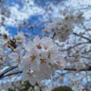 ヒメ日記 2025/04/06 23:17 投稿 よつば 京都人妻デリヘル倶楽部