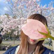 ヒメ日記 2025/04/09 22:02 投稿 よつば 京都人妻デリヘル倶楽部