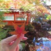 よつば まだなの？ 京都人妻デリヘル倶楽部